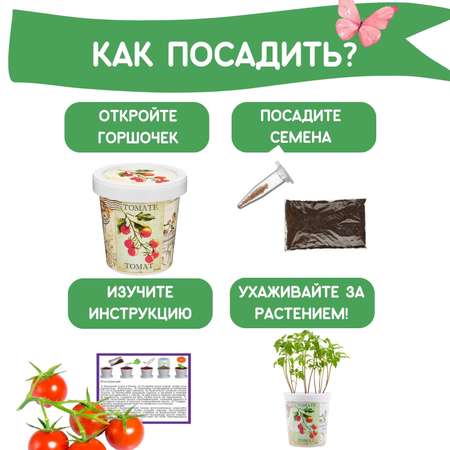 Набор для выращивания Rostok Visa