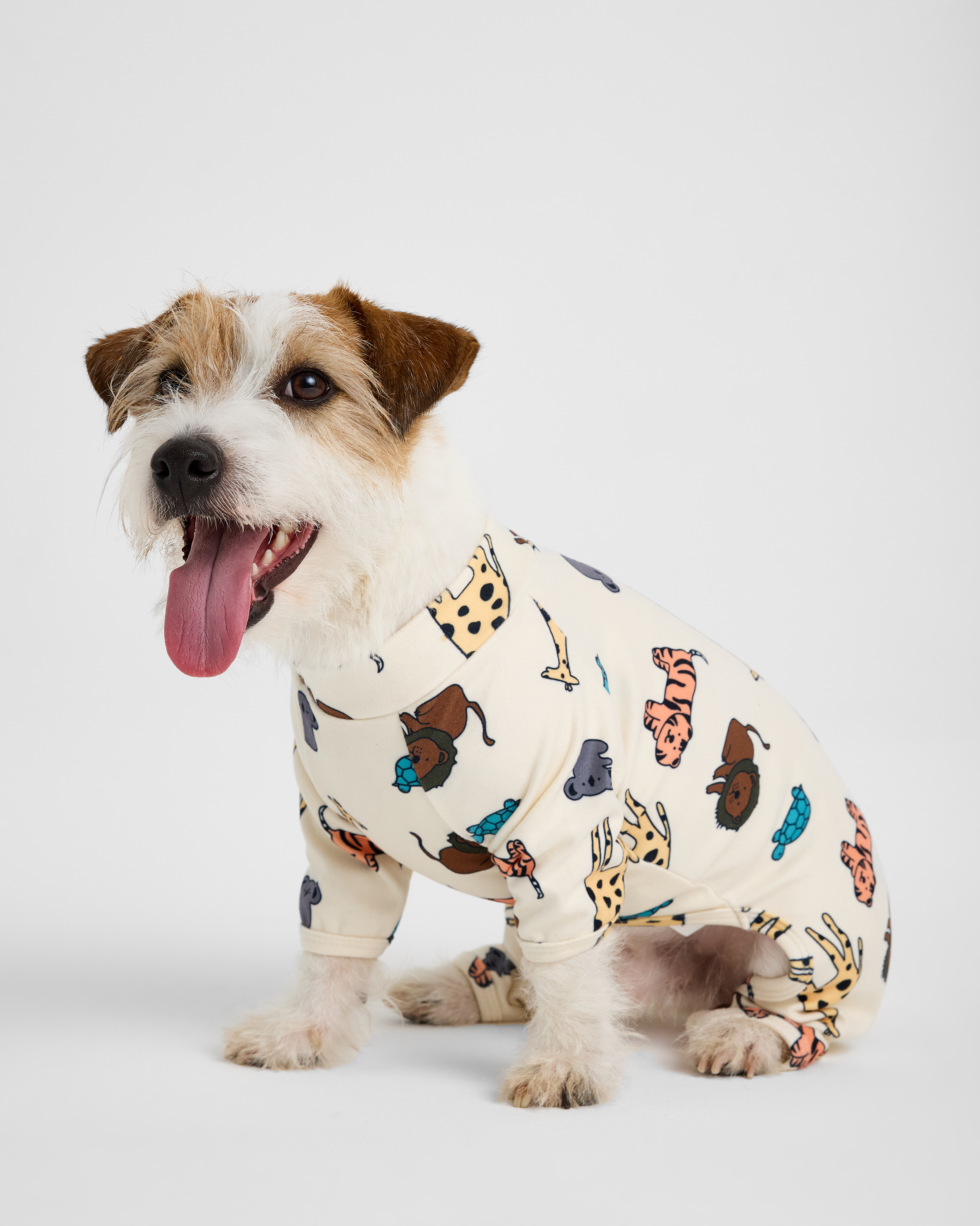 Изображение товара Комбинезон для собак и кошек Зоозавр: L