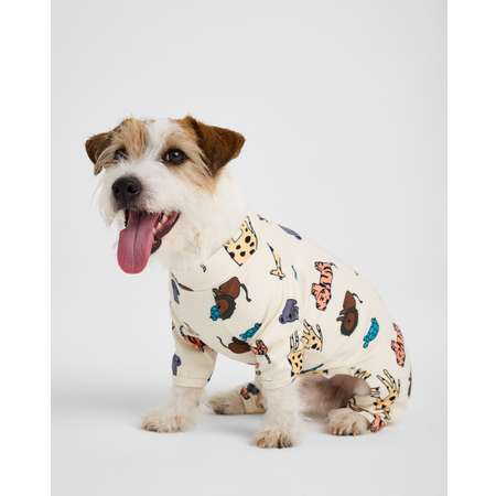 Комбинезон для собак и кошек Зоозавр