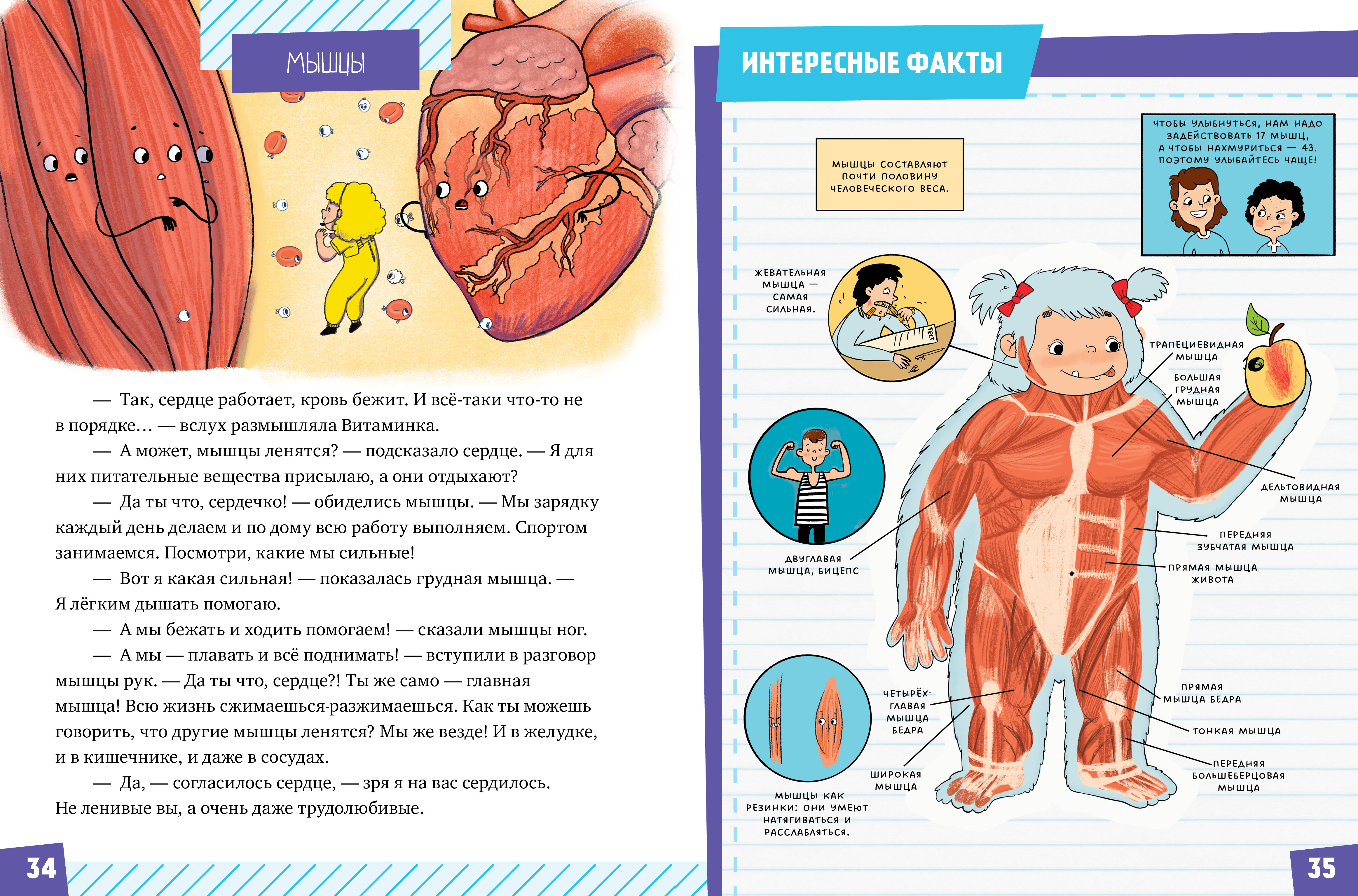 Подарок для почемучки Clever Тело человека - фото 3