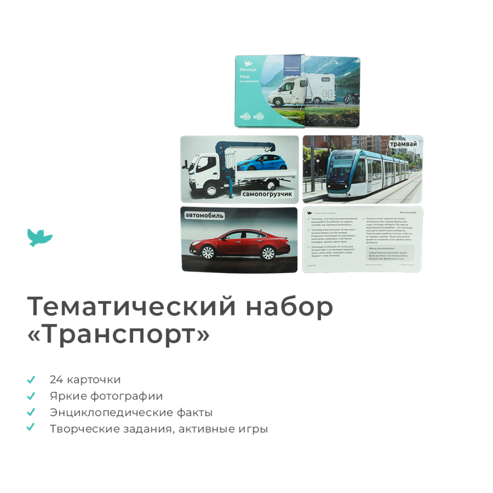 Развивающая игра Умница Мир на ладошке Енот. Энциклопедия для детей - фото 2