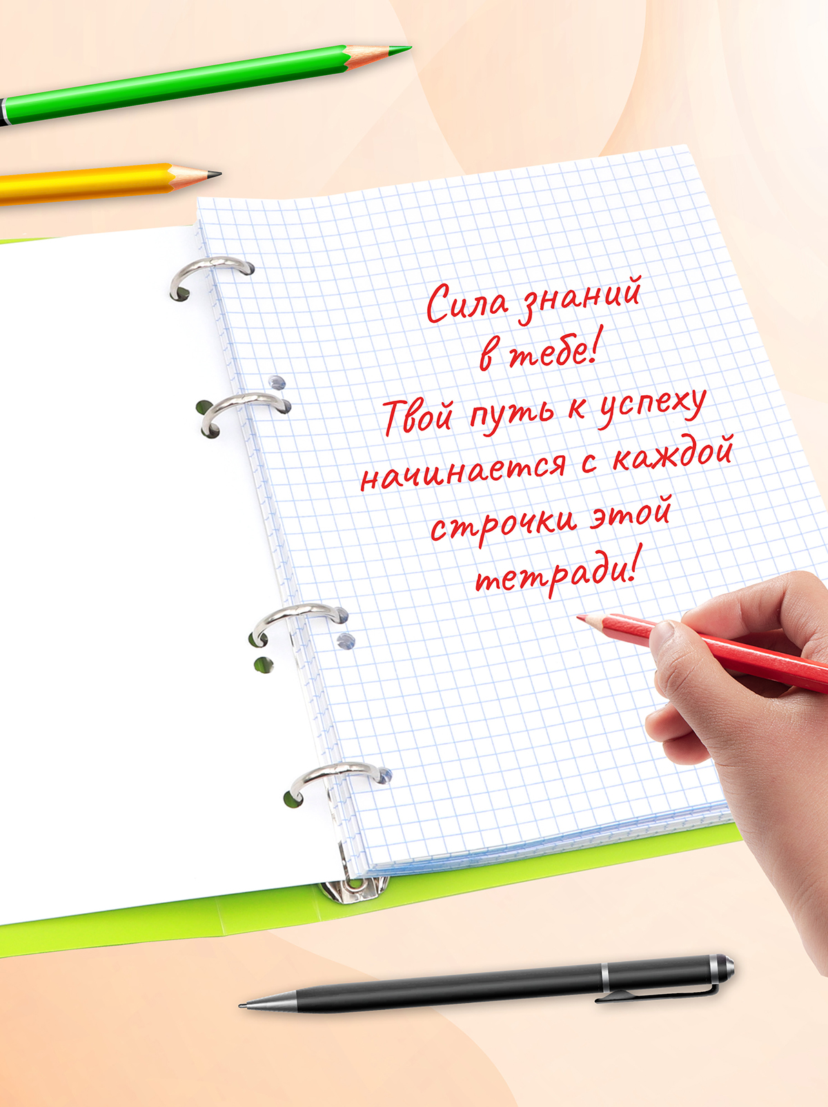 Тетрадь со сменным блоком ПАНДАРОГ клетка 80 лист. - фото 8