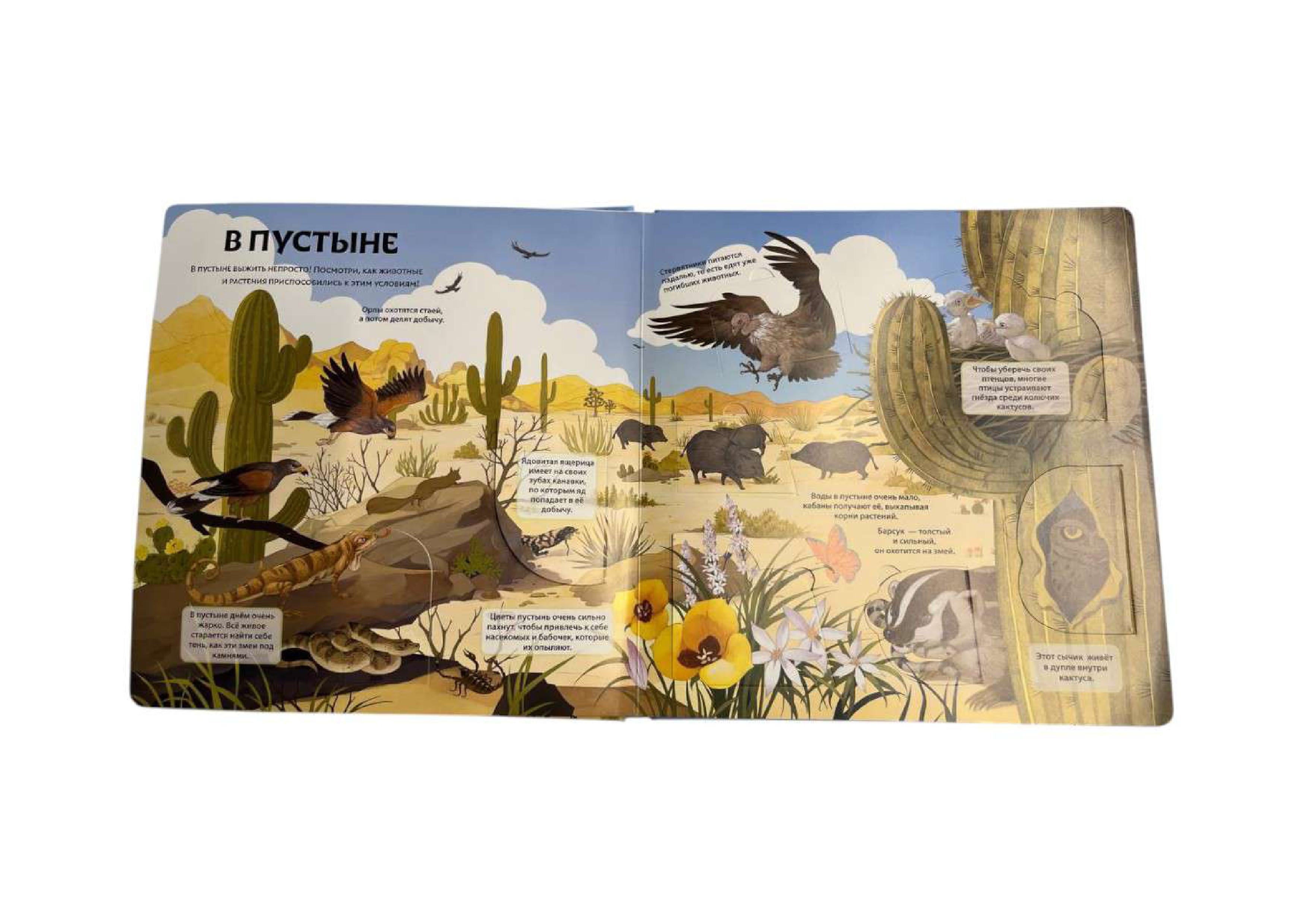 Книга Эксмо Животные и растения Энциклопедия - фото 4