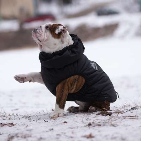 Жилет для собак утеплённый Rain Dog