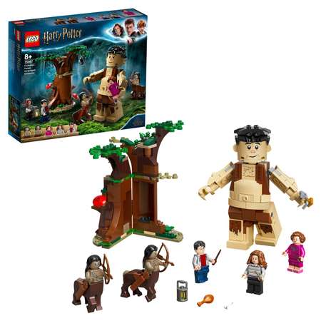 Конструктор LEGO Harry Potter Грохх и Долорес Амбридж блочный