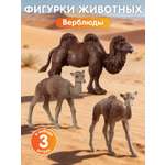 Игровой набор DARWIN Дикие животные Верблюды 3шт