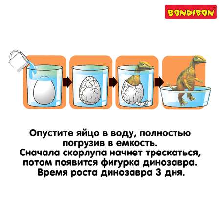 Набор для выращивания Bondibon
