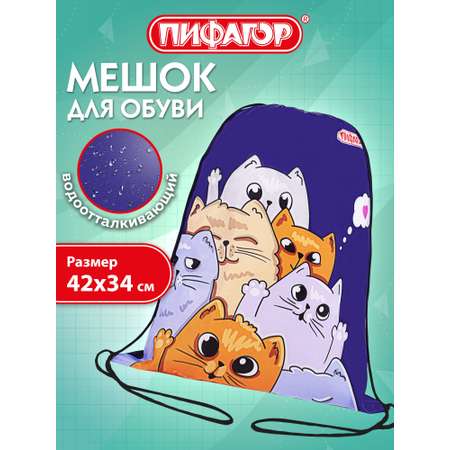 Мешок для обуви Пифагор кошачий привет