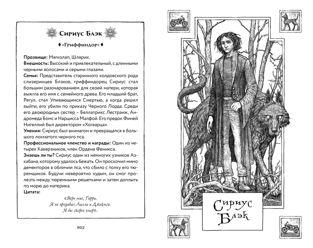 Книга Махаон Роулинг Дж.К. Гарри Поттер и Орден Феникса (Гриффиндор) - фото 19