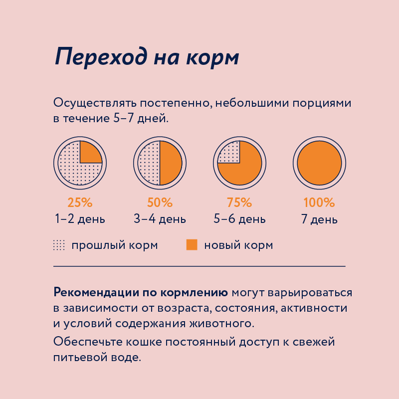 Корм для кошек Florida с чувствительным пищеванением кусочки индейка морковь в соусе 85г пауч - фото 7