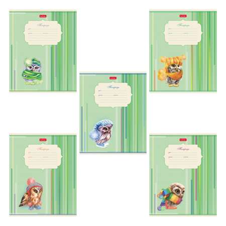 Тетрадь Hatber линейка 12 лист. в ассортименте