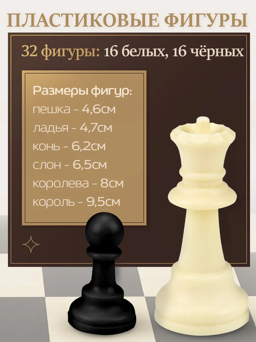 Настольная игра Рыжий кот Игра 2 в 1 Шахматы/шашки - фото 2