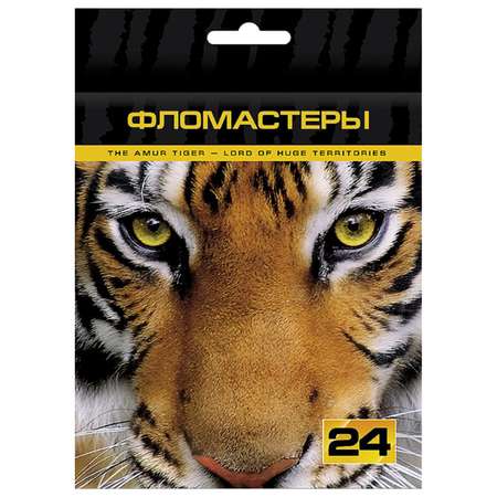 Фломастеры VK hatber 24 цв.