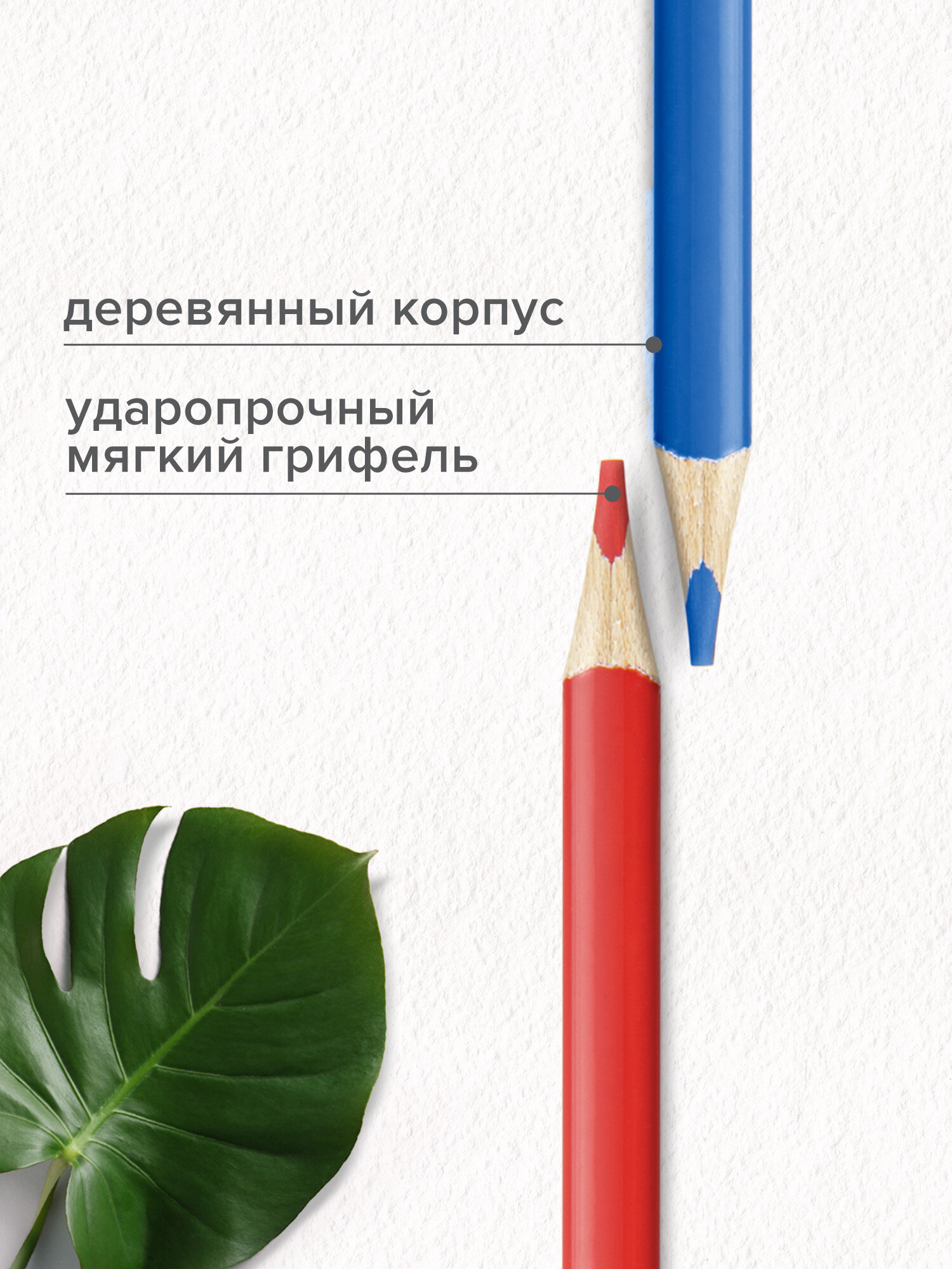 Карандаши цветные Brauberg 72 шт. - фото 4