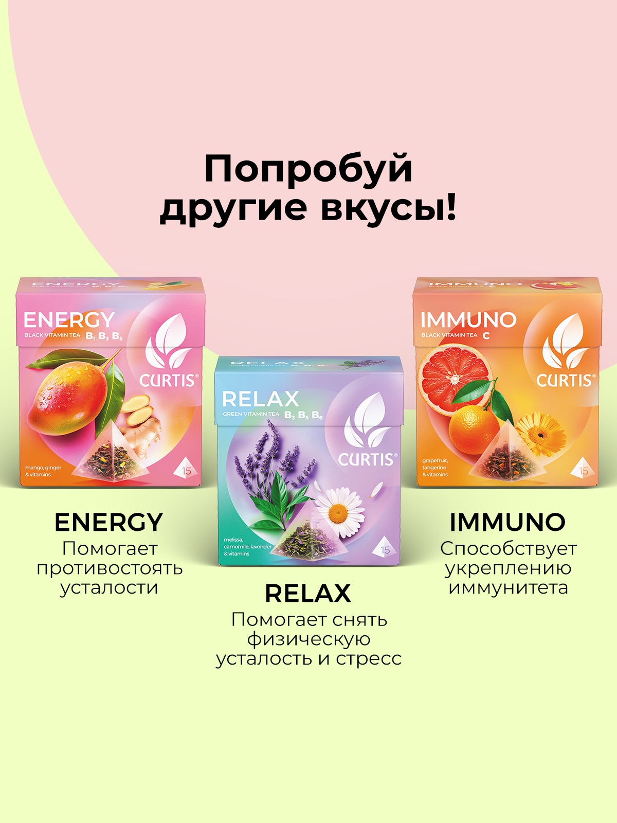 Чай в пирамидках Curtis Beauty - фото 6