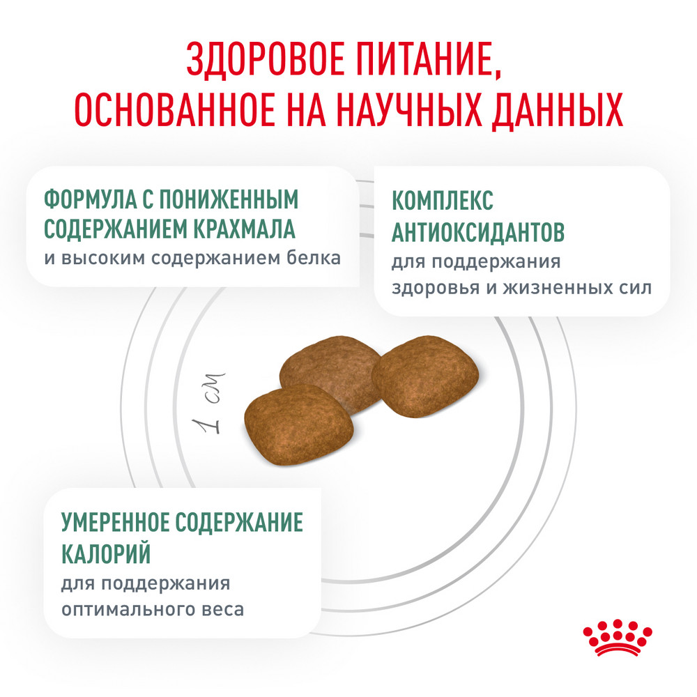 Корм для собак ROYAL CANIN Diabetic при сахарном диабете 1.5кг - фото 5