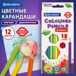 Карандаши цветные Brauberg 12 шт.