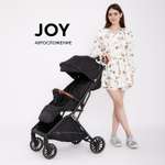 Коляска прогулочная Rant Basic Joy черный
