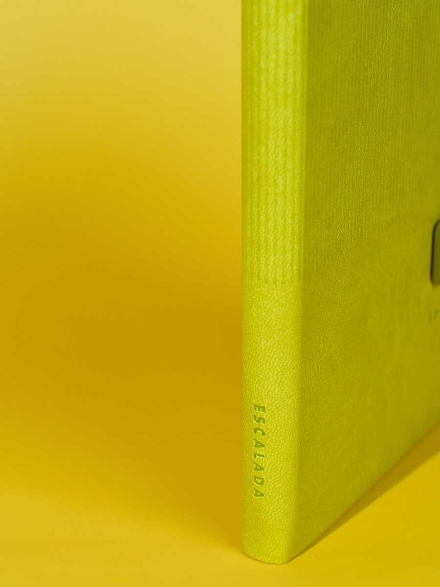 Ежедневник Феникс + ESCALADA 120 лист. - фото 8