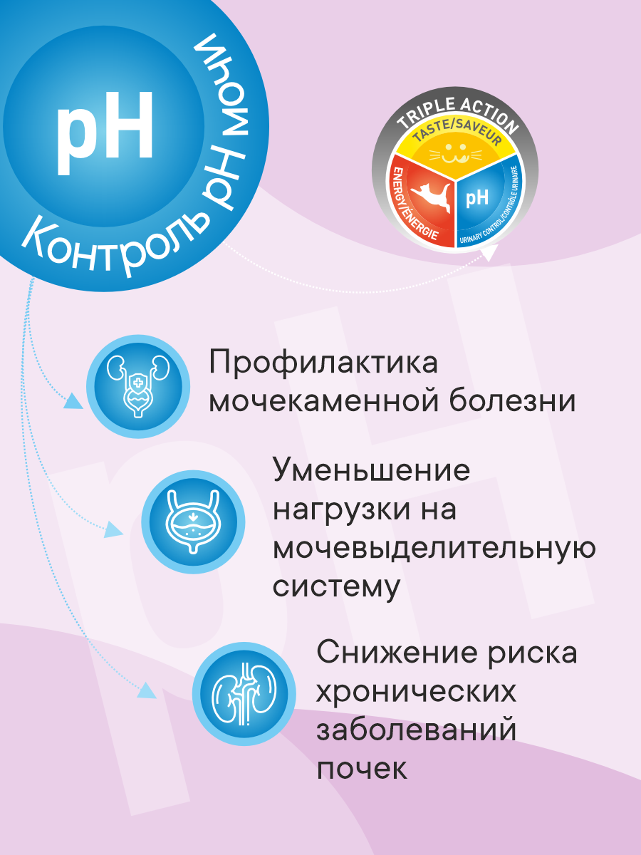 Корм сухой 1st Choice Finicky для привередливых кошек на курице 5.44кг - фото 4