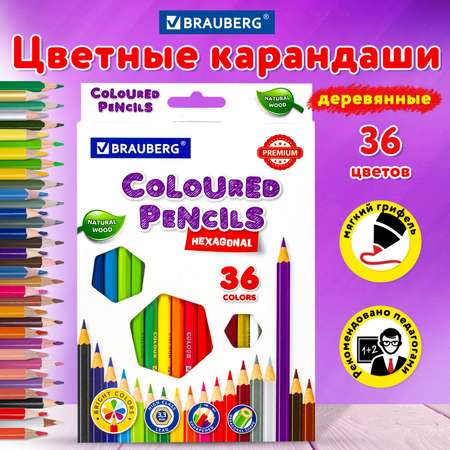 Карандаши цветные Brauberg 36 шт.