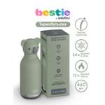 Термобутылка ASOBU Bestie