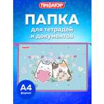 Папка для тетрадей Пифагор А4