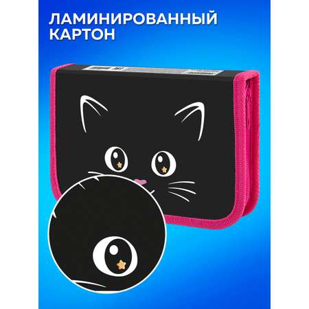 Пенал Пифагор