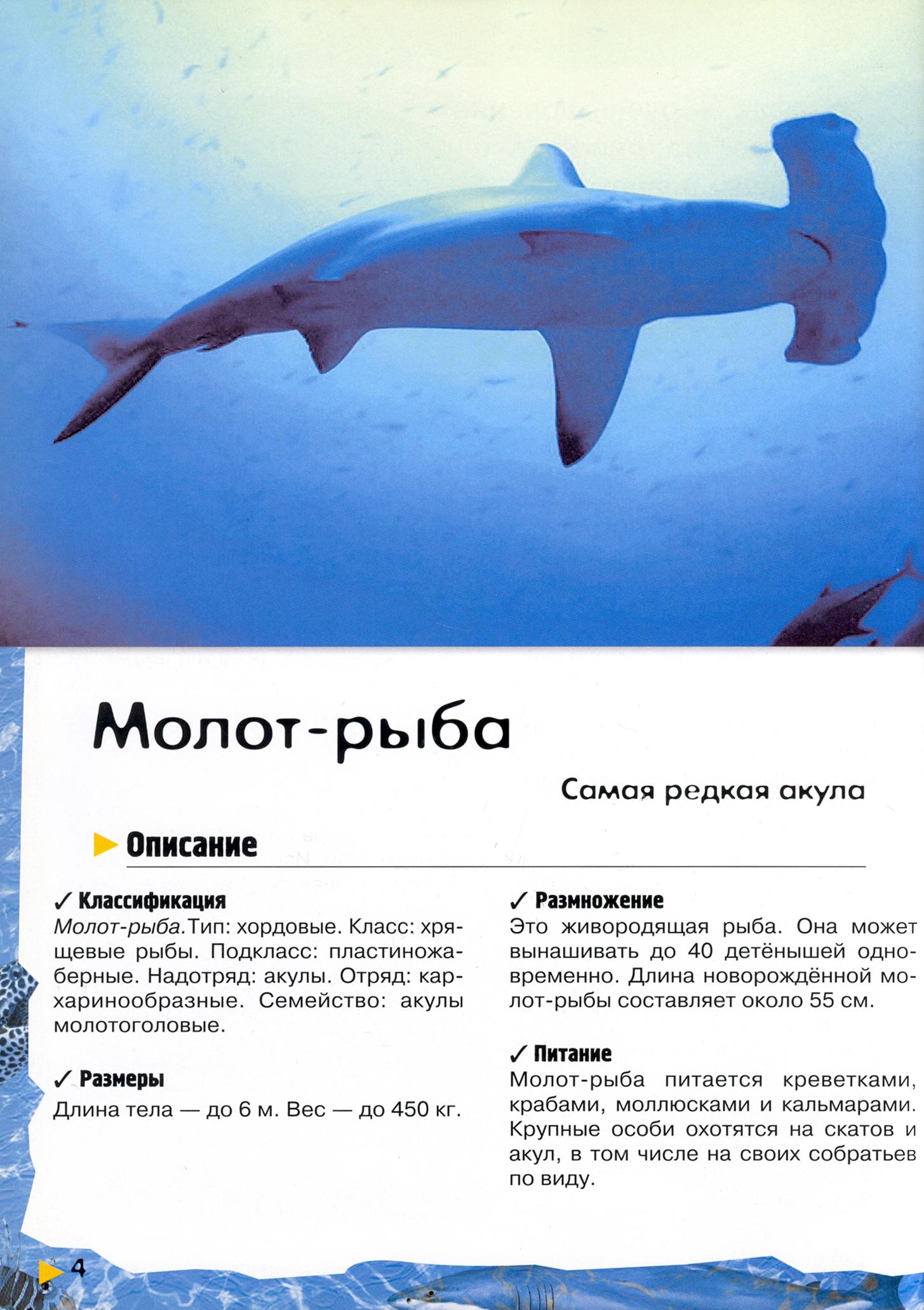 Книга Лабиринт Под водой на суше в воздухе - фото 4