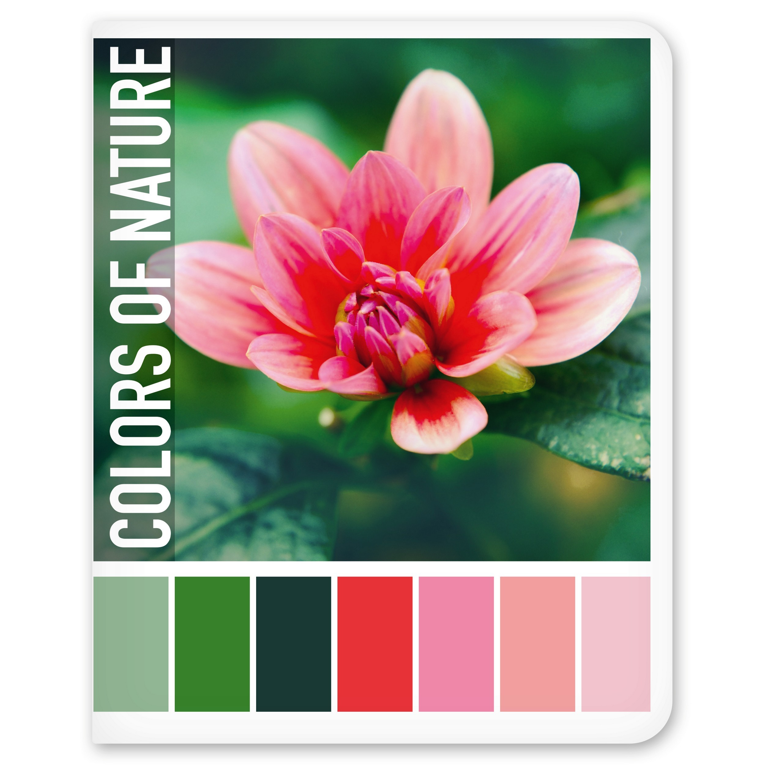 Общая тетрадь Полиграф Принт клетка 48 лист. в ассортименте - фото 6