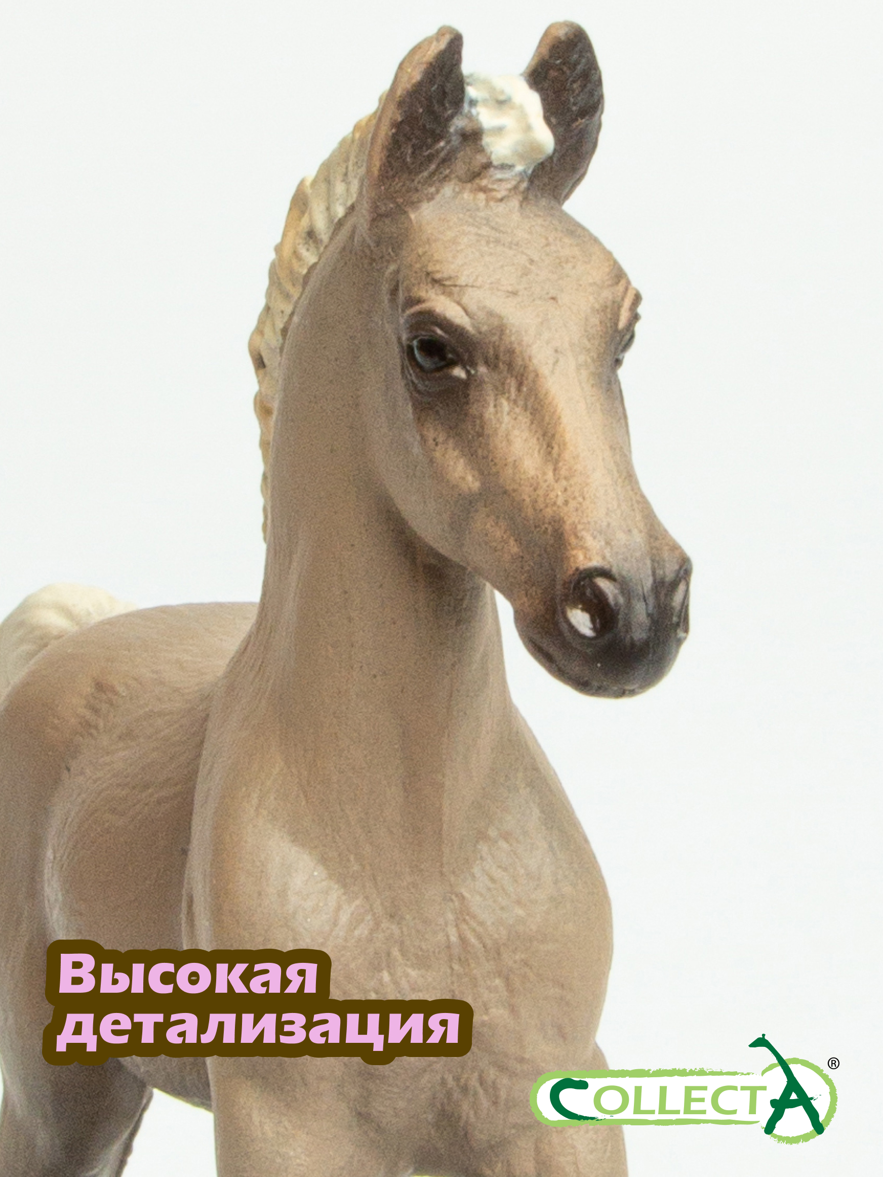Фигурка Collecta Жеребёнок горный - фото 3