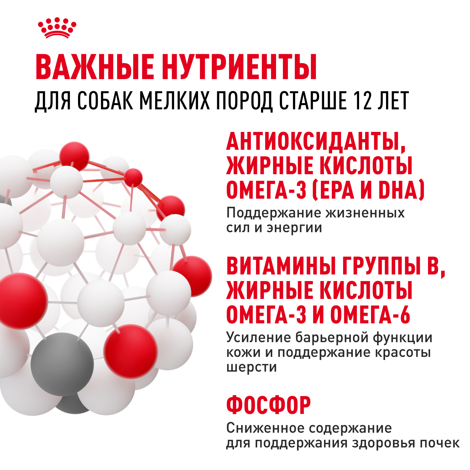 Корм для собак ROYAL CANIN Mini Ageing 12+ для стареющих собак мелких размеров 85г - фото 5