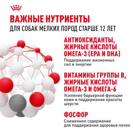 Корм для собак ROYAL CANIN Mini Ageing 12+ для стареющих собак мелких размеров 85г