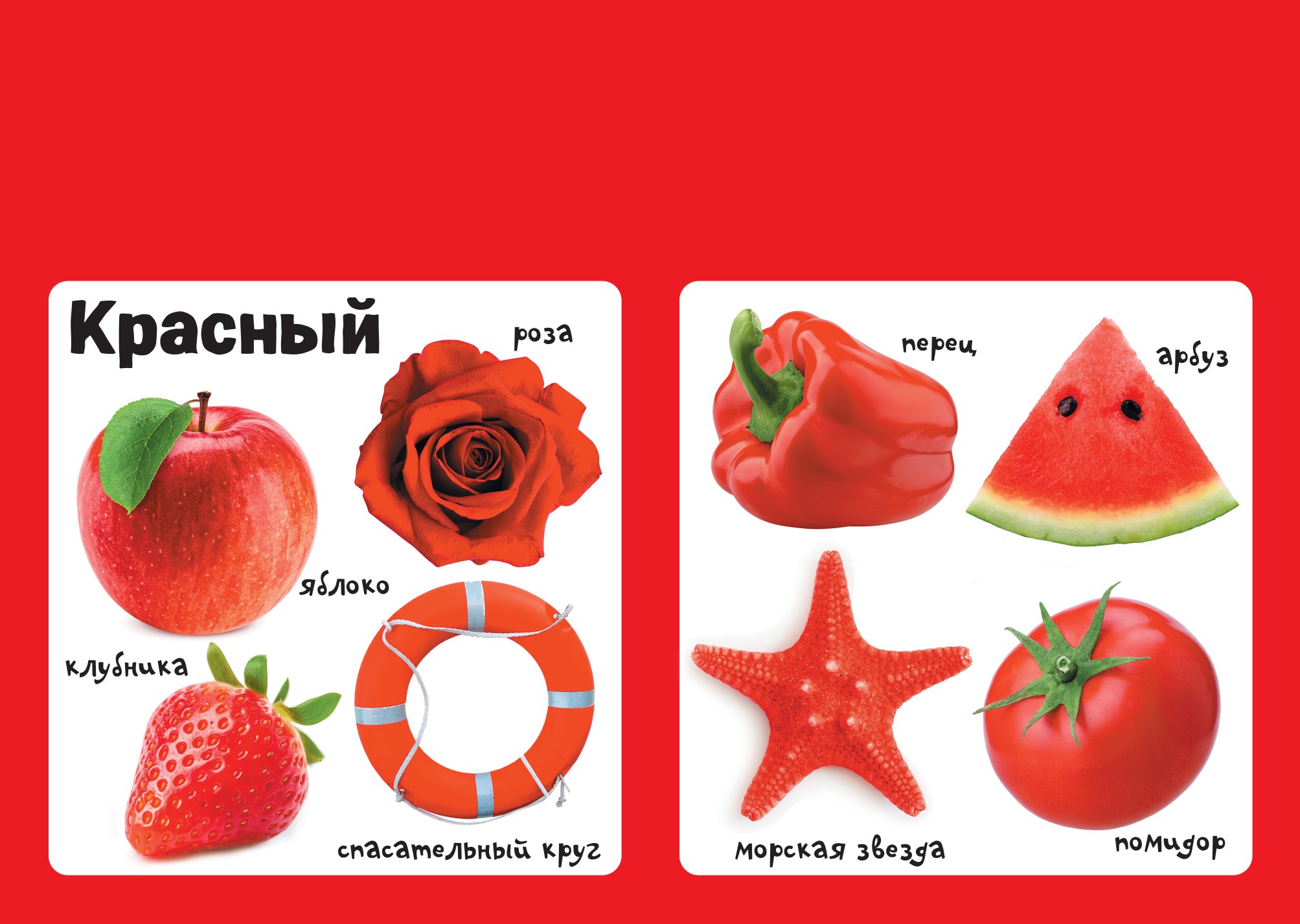 Книга АСТ Мягкая книжка для малыша Цвета - фото 5