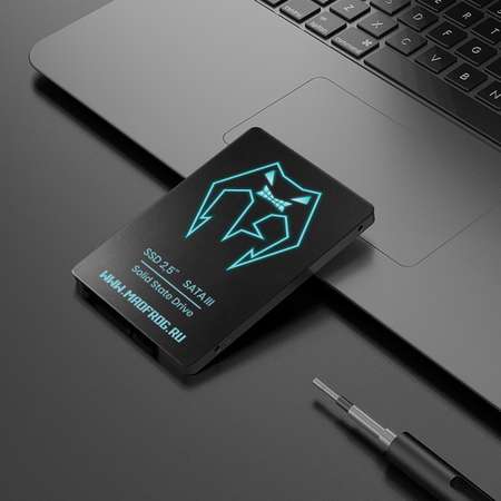 Твердотельный накопитель MADFROG SSD 256 Gb