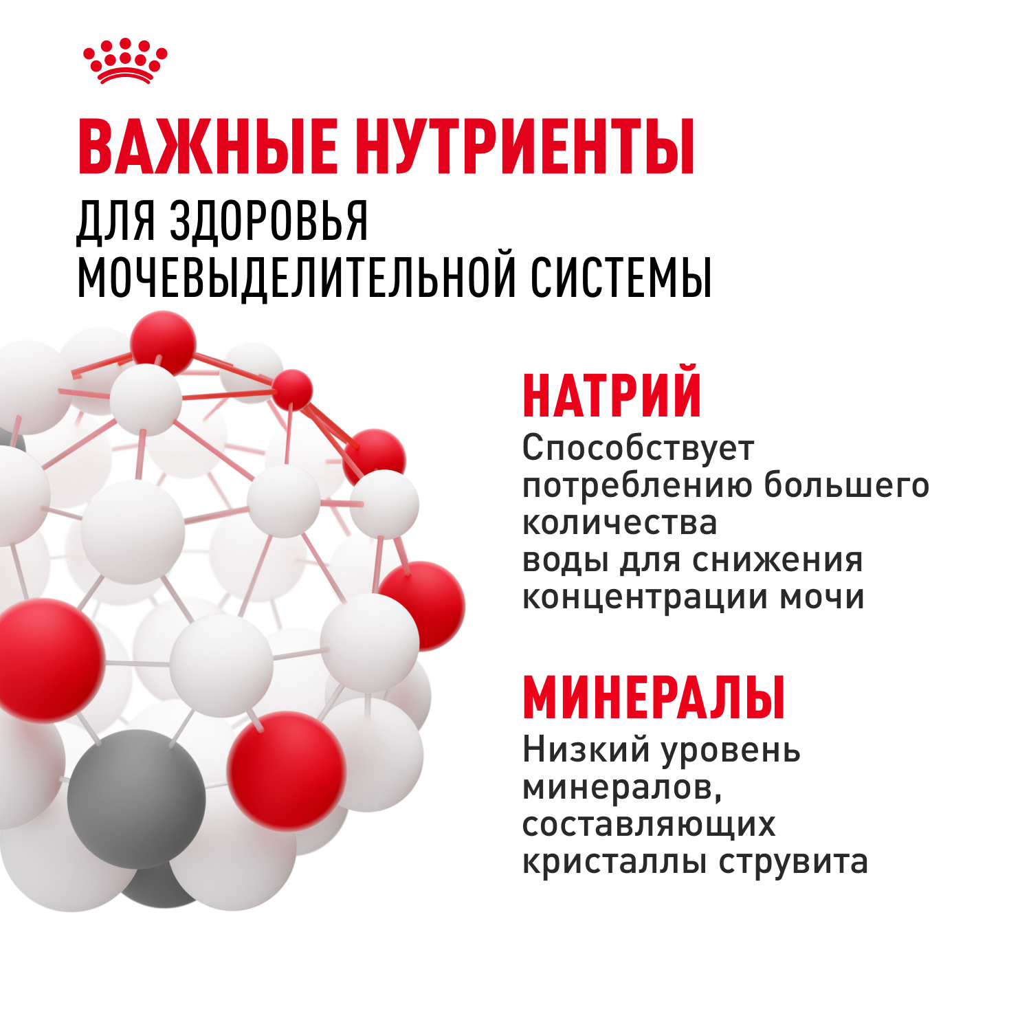 Корм для кошек ROYAL CANIN Urinary Care для поддержания здоровья мочевыделительной системы 85г - фото 5