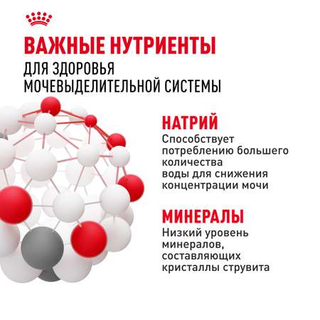 Корм для кошек ROYAL CANIN Urinary Care для поддержания здоровья мочевыделительной системы 85г