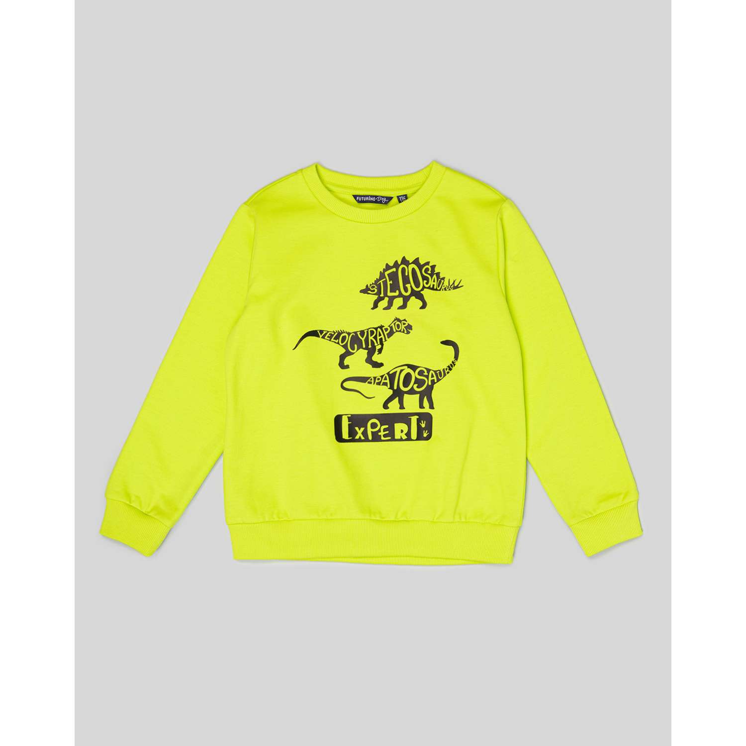 Свитшот Futurino SS23-B06FUkb-L4 - фото 2