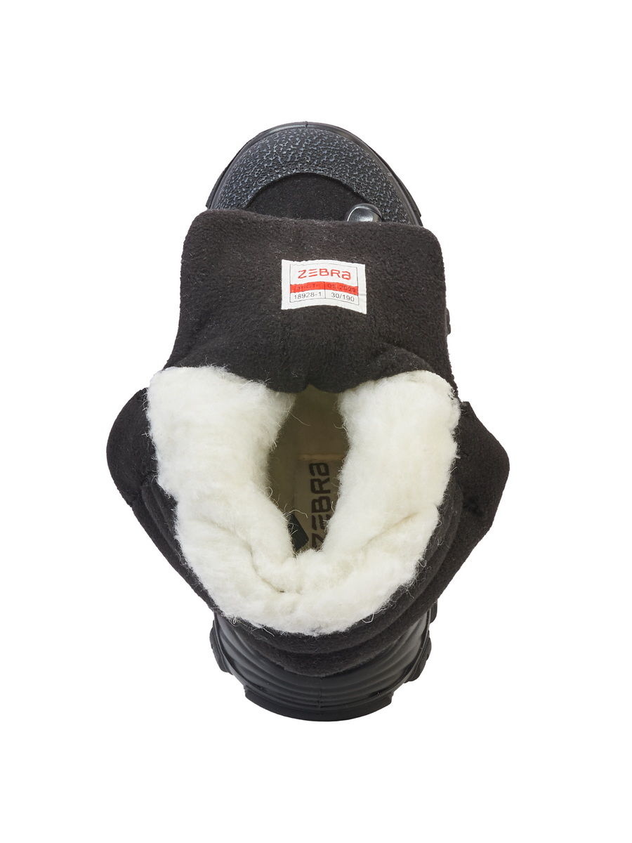 Сапоги Зебра 19008-1 - фото 2