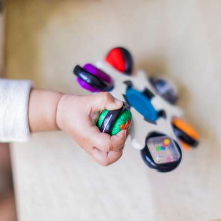 Игрушка развивающая Baby Einstein Цветочек 12491BE