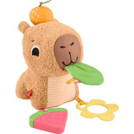 Прорезыватель Fisher Price Snuggly Капибара