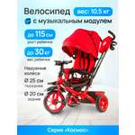 Трехколесный велосипед Velobibi 10 дюймов