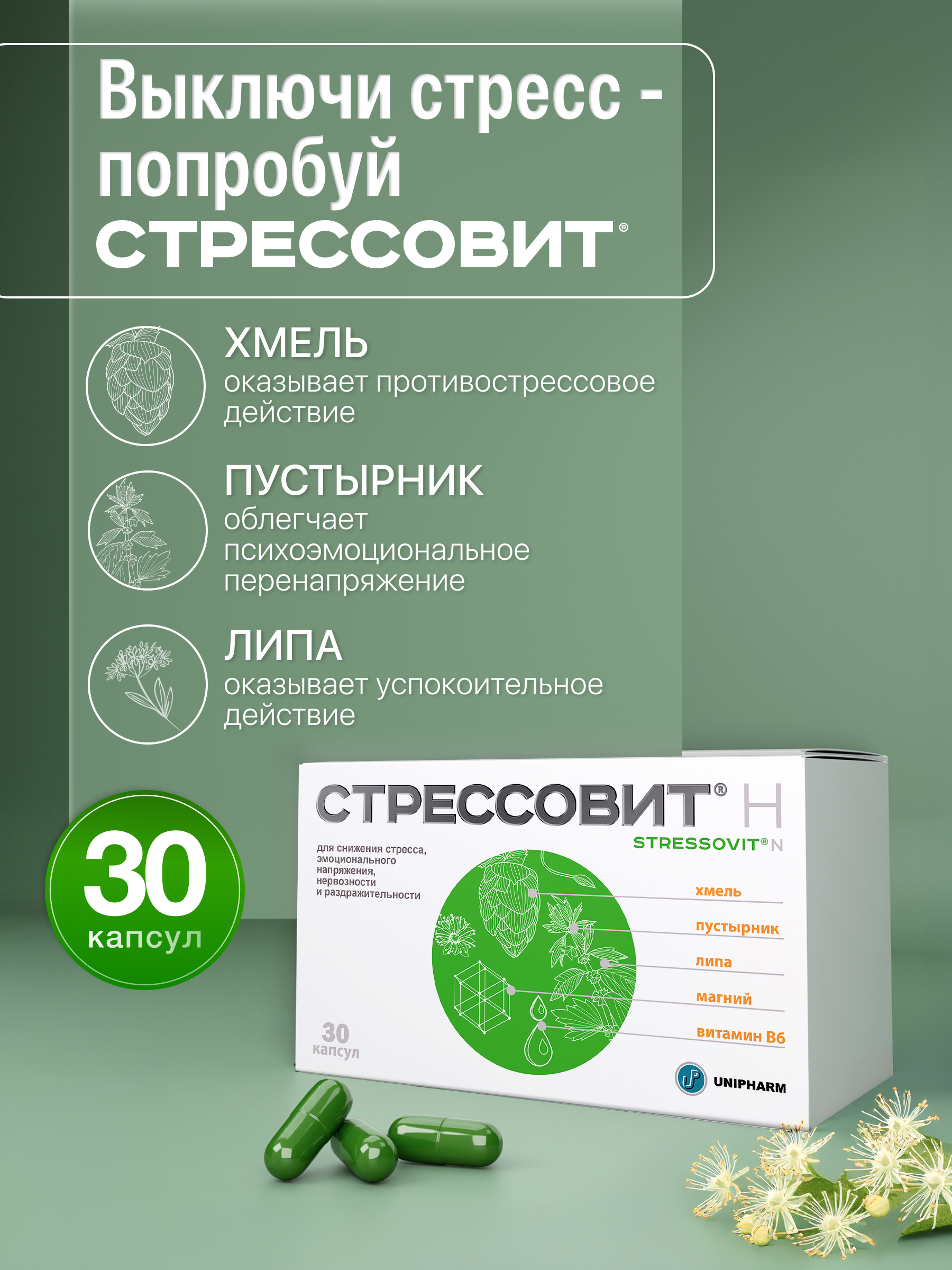 БАД Стрессовит Н 30 капсул - фото 2