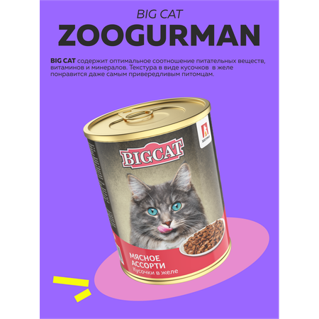 Корм влажный Зоогурман Big Cat Мясное ассорти 350 гр х 12 шт