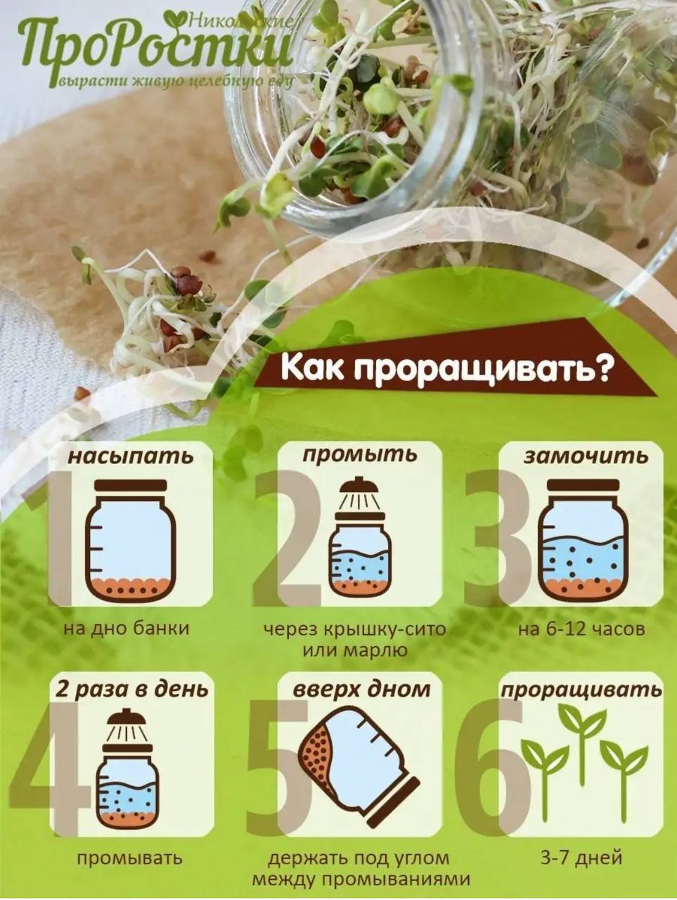 Семена для микрозелени MegaMedia редис - фото 5