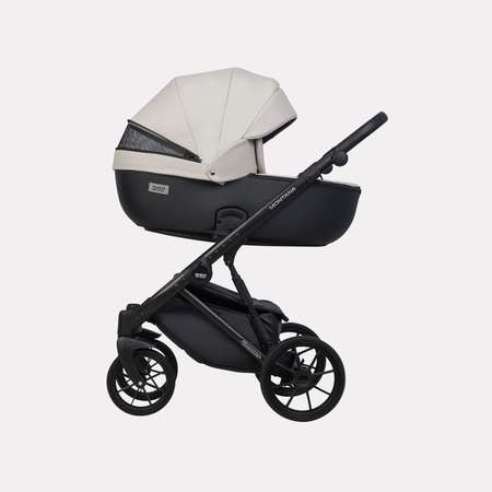 Коляска 2в1 Riko Basic Montana Ecco черный