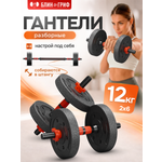 Набор блинов с грифом БлинДаГриф Гантель 6кг 2шт