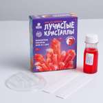 Набор для выращивания Школа Талантов