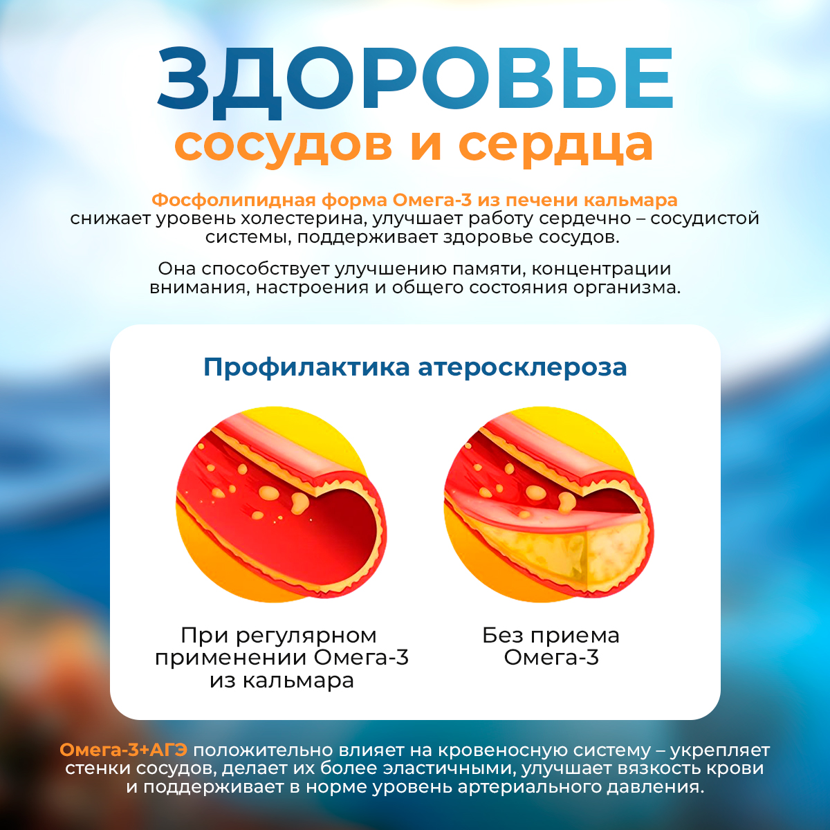 Омега -3 + АГЭ комплекс Доктор Море тихоокеанская из печени дикого кальмара 120 капсул - фото 8