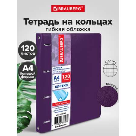 Тетрадь со сменным блоком Brauberg клетка 120 лист.